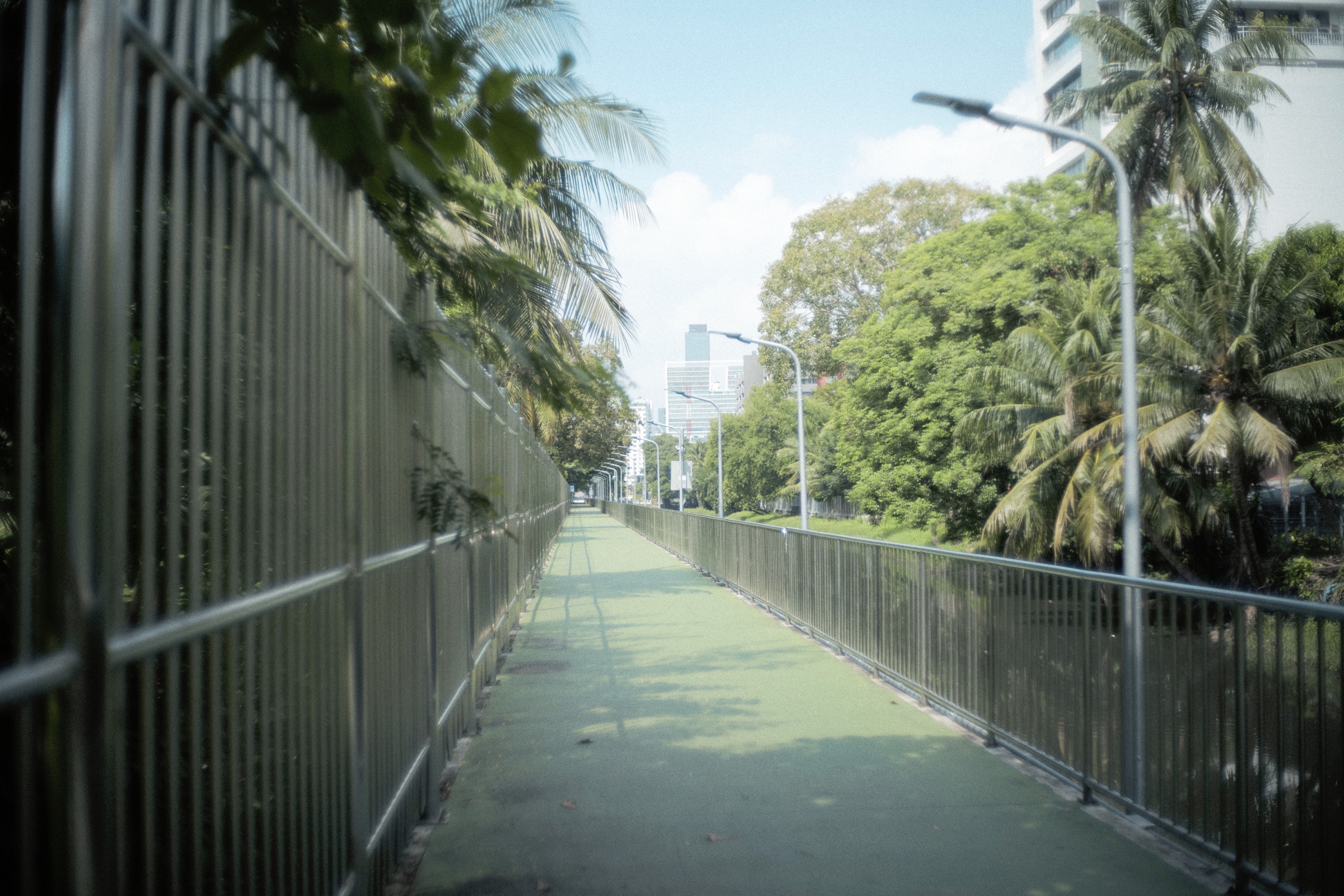 Afterimage in Passing, photograph 18