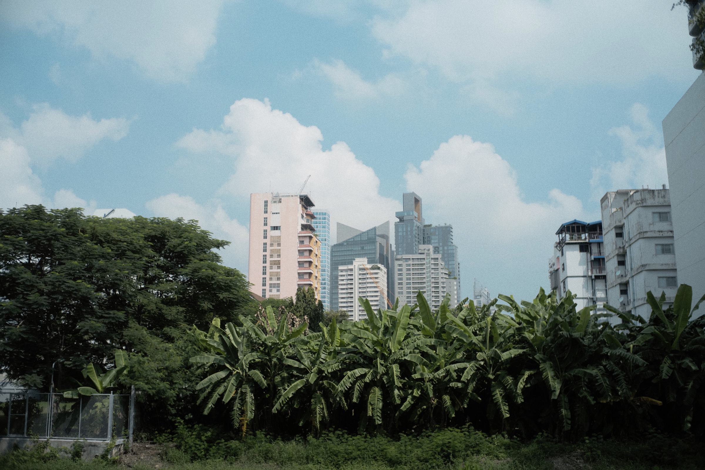 Afterimage in Passing, photograph 11
