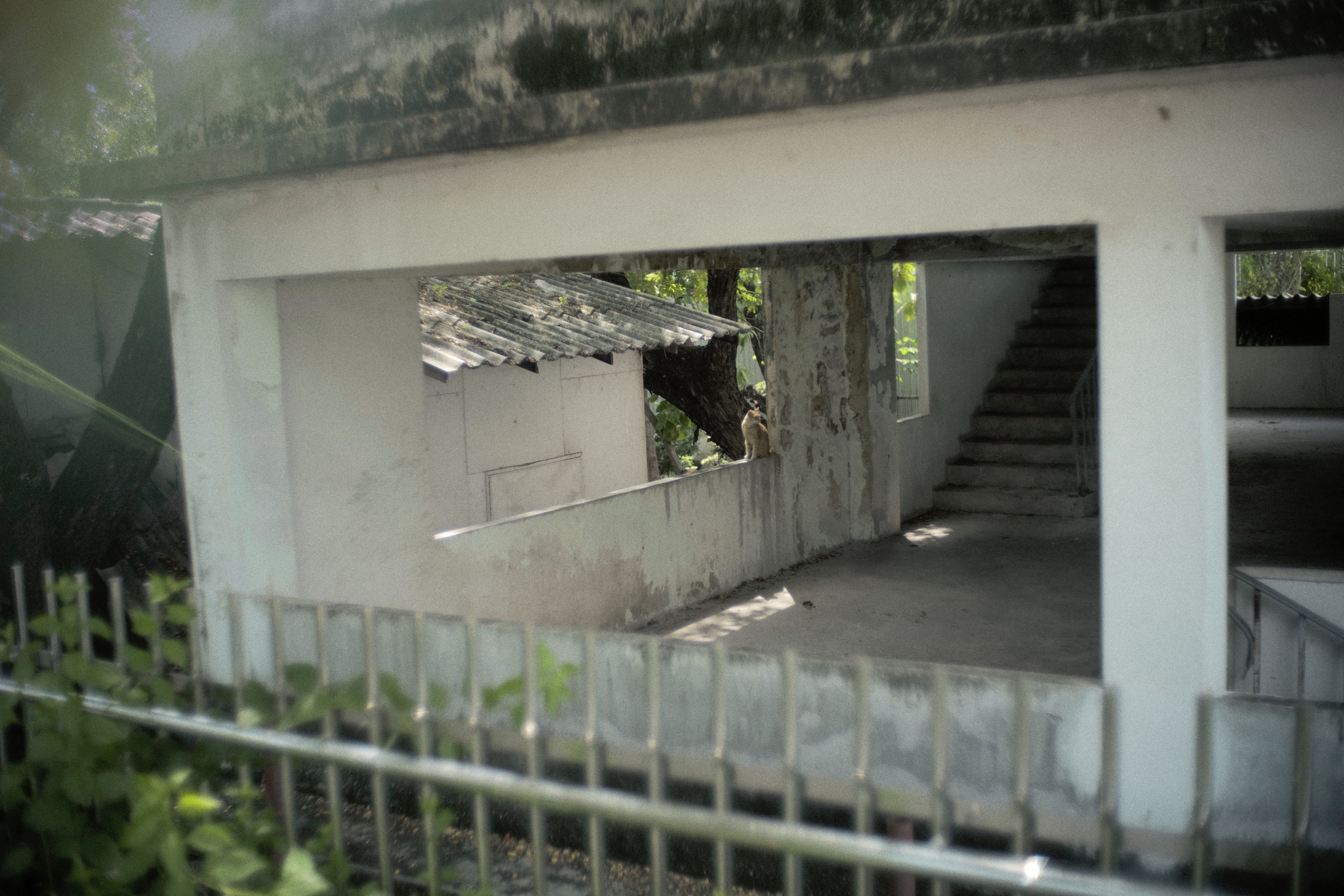 Afterimage in Passing, photograph 05