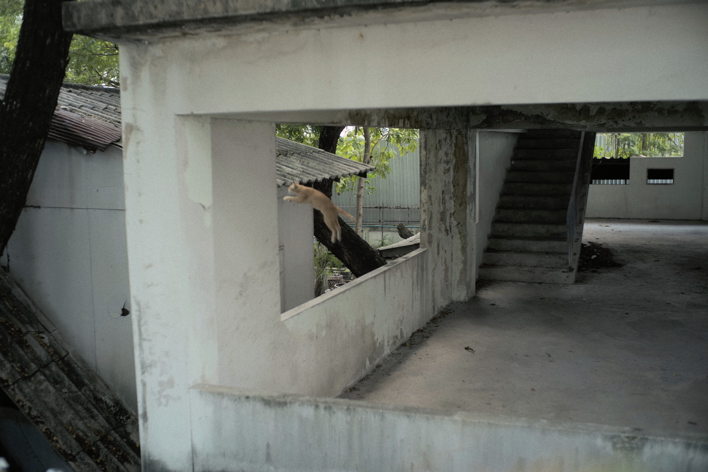 Afterimage in Passing, photograph 34
